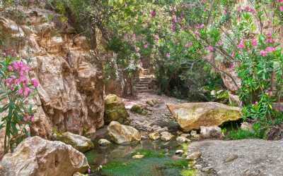 Akamas Tour z Larnaki